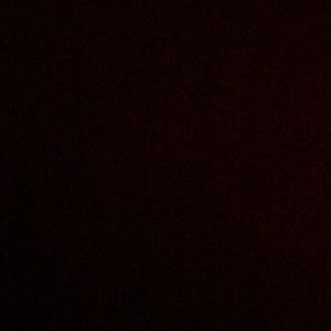 Meet your Posher, Dominick